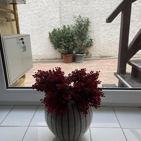 Takacs Vendeghaz 2 Apartment