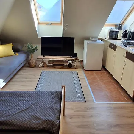 Takacs Vendeghaz 2 Sopron